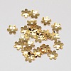 6-Petal Flower Brass Bead Caps KK-L137-05G-NR-1