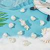 15Pcs Mini Natural Spiral Shell Beads FIND-PH0026-80-2