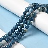 Natural Dyed White Jade Beads Strands G-M402-C03-3