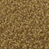 MIYUKI Delica Beads X-SEED-J020-DB0771-3