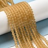 Imitate Austrian Crystal Frosted Glass Beads Strands EGLA-A039-T2mm-MD18-4