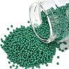 MIYUKI Round Rocailles Beads SEED-X0054-RR4477-1