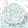 3/0 Glass Seed Beads SEED-L011-03A-09-2