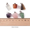 12Pcs 6 Style Natural & Synthetic Gemstone Pendants G-FS0001-35-2