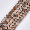 Natural Picture Jasper Beads Strands G-S354-20-1