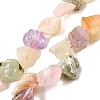 Natural Mixed Gemstone Beads Strands G-S386-C02-2