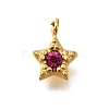 304 Stainless Steel Charms STAS-R159-58G-2