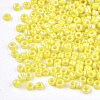 Opaque Glass Seed Beads SEED-S023-01C-02-2