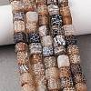 Natural Weathered Agate Beads Strands G-NH0038-01C-1