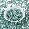 12/0 Glass Seed Beads SEED-A017-2mm-1119-1