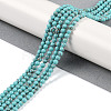 Synthetic Turquoise Beads Strands G-U004-02P-2