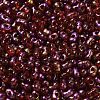 Spray Painted Glass Seed Beads SEED-F005-06A-01-3