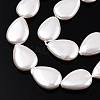 Electroplate Natural Freshwater Shell Beads Strands SHEL-R049-026A-2