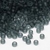 1 Box Frosted Transparent 6/0 Glass Seed Beads DIY Loose Spacer Mini Glass Seed Beads SEED-X0009-6-M26-B-3