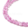 Natural Trochus Shell Beads Strands SHEL-K006-19-4