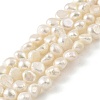 Natural Cultured Freshwater Pearl Beads Strands PEAR-A006-03C-2