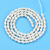 Natural Cultured Freshwater Pearl Beads Strands PEAR-N012-02Y-01-3