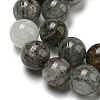 Natural Lodolite Quartz Beads Strands G-R494-A15-02-3