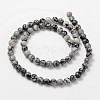 Gemstone Beads Strands X-G285-3