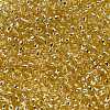 TOHO Round Seed Beads X-SEED-TR08-PF0022-4