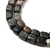 Natural Biotite Beads Strands G-B155-D05-4