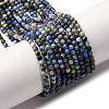 Natural Lapis Lazuli Beads Strands G-L629-B01-2mm-03-2