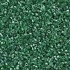 MIYUKI Delica Beads X-SEED-J020-DB1889-3