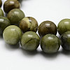 Natural Gemstone Beads Z0SRR015-4