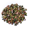 Natural Unakite Tumbled Chips PW-WGA7DCE-13-1