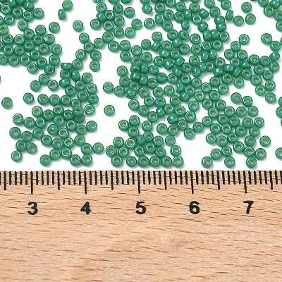 MIYUKI Round Rocailles Beads X-SEED-G007-RR4477-1