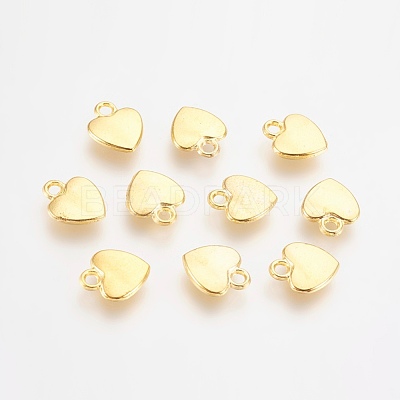 Tibetan Style Alloy Charms K08QL012-1