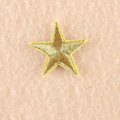 Computerized Embroidery Cloth Iron on/Sew on Patches DIY-F030-11-17-1