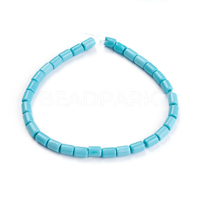 Synthetic Howlite Beads Strands G-F647-12A-1