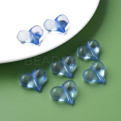 Transparent Acrylic Beads MACR-S373-70-B10-1