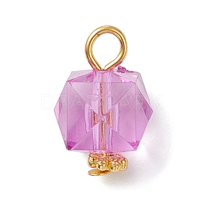 Transparent Acrylic Pendants PALLOY-JF04258-01-1