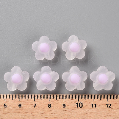 Transparent Acrylic Beads TACR-S152-09C-09-1