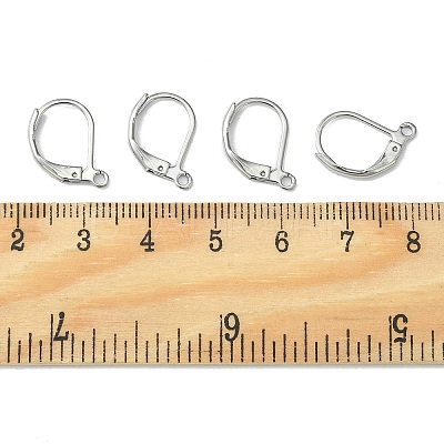 Tarnish Resistant 304 Stainless Steel Leverback Earring Findings STAS-S028-07-1