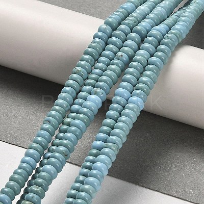 Natural Turquoise Beads Strands X-G-M422-B01-01-1