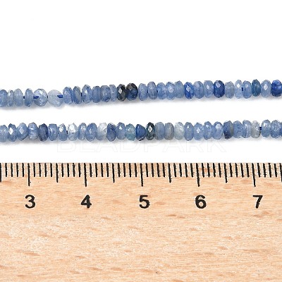 Natural Kyanite Beads Strands G-K376-E04-02-1