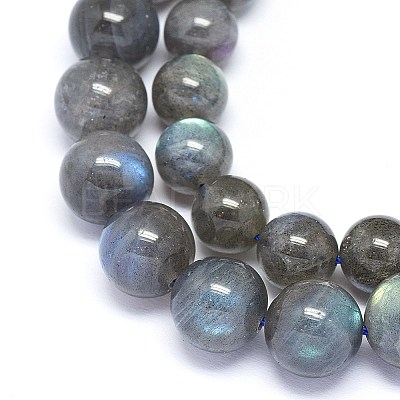 Natural Labradorite Beads Strands G-F602-04-10mm-1