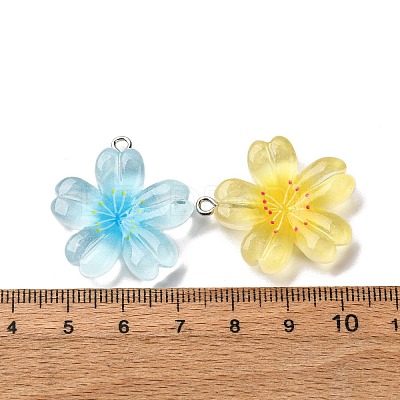 Transparent Resin Pendants RESI-A046-05B-1