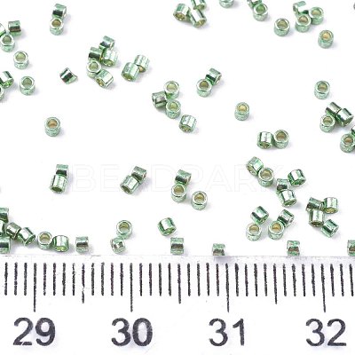 FGB 11/0 Grade A Glass Seed Beads X-SEED-S030-1217-1