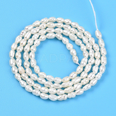 Natural Cultured Freshwater Pearl Beads Strands PEAR-N012-02Y-01-1