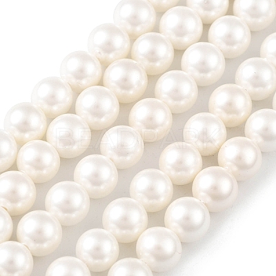 Shell Pearl Bead Strands BSHE-L026-03-6mm-1