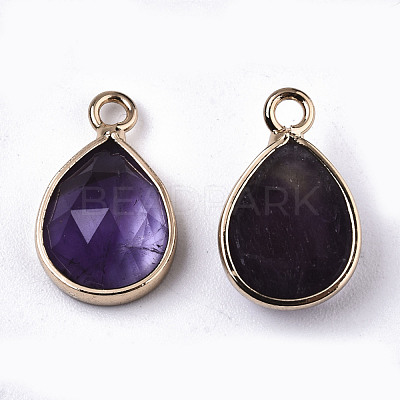 Natural Amethyst Charms G-N326-50B-1
