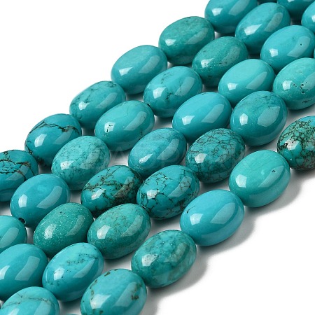 Natural Howlite Beads Strands G-B049-D01-03A-1