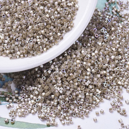 MIYUKI Delica Beads X-SEED-J020-DB0680-1