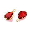 K9 Glass Charms GLAA-T023-10B-2