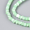 Natural Trochid Shell/Trochus Shell Beads Strands SSHEL-N040-21C-3