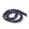 Natural South Africa Sodalite Beads Strands G-S259-35-10mm-6